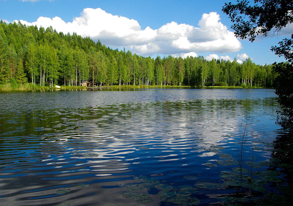 Me Kansa Iisalmi