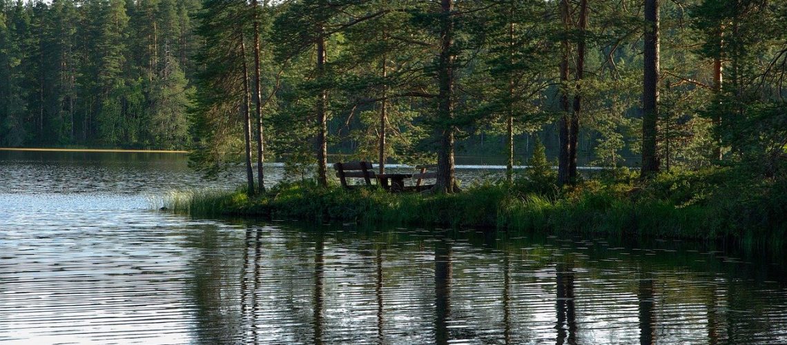 finland, lake, fir-907408.jpg